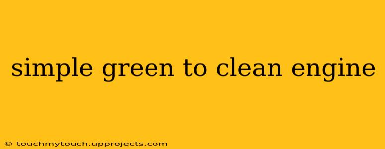simple green to clean engine