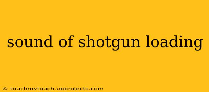 sound of shotgun loading