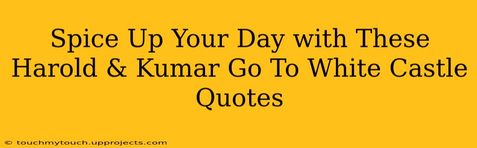 Spice Up Your Day with These Harold & Kumar Go To White Castle Quotes