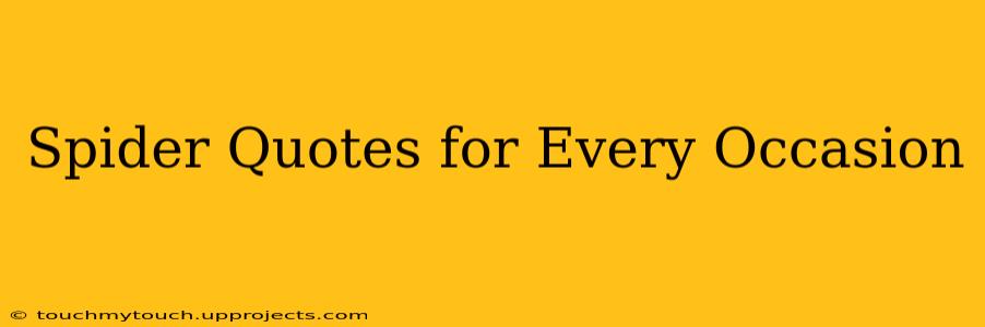 Spider Quotes for Every Occasion