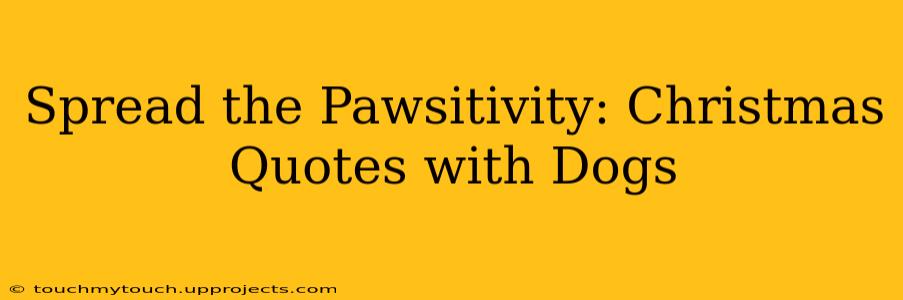 Spread the Pawsitivity: Christmas Quotes with Dogs