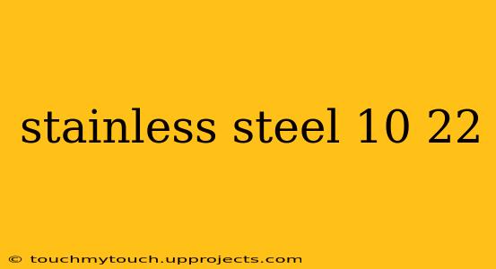 stainless steel 10 22