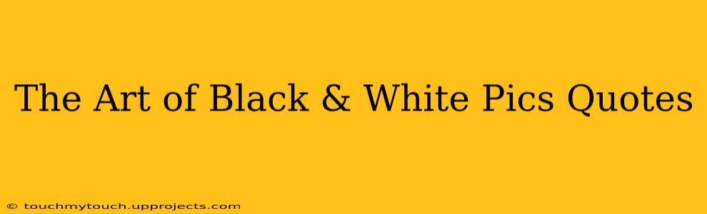 The Art of Black & White Pics Quotes