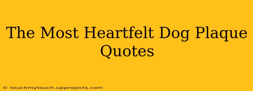 The Most Heartfelt Dog Plaque Quotes