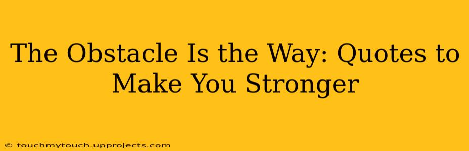 The Obstacle Is the Way: Quotes to Make You Stronger