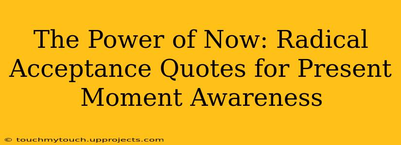 The Power of Now: Radical Acceptance Quotes for Present Moment Awareness