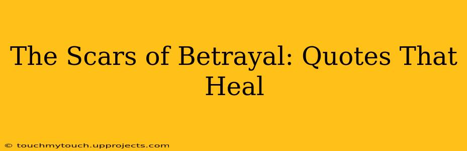 The Scars of Betrayal: Quotes That Heal