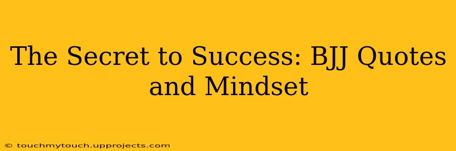 The Secret to Success: BJJ Quotes and Mindset