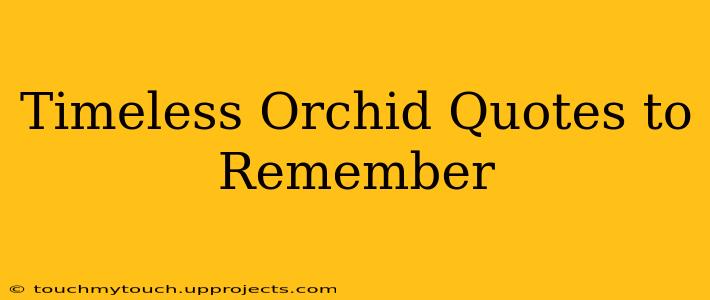 Timeless Orchid Quotes to Remember