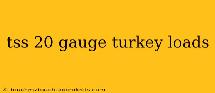 tss 20 gauge turkey loads