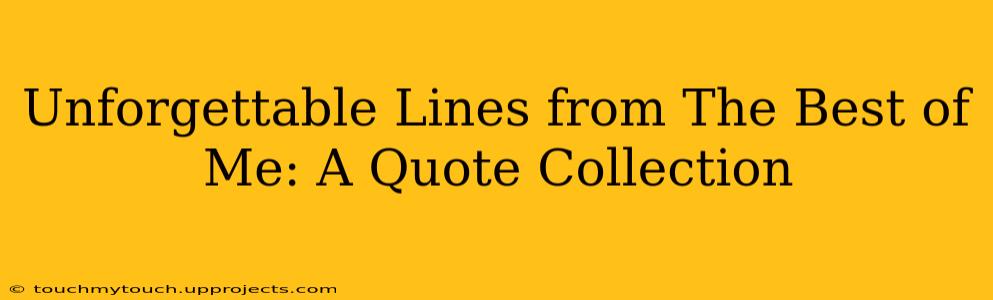 Unforgettable Lines from The Best of Me: A Quote Collection