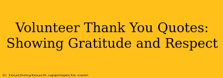 Volunteer Thank You Quotes: Showing Gratitude and Respect