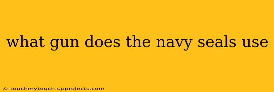 what gun does the navy seals use