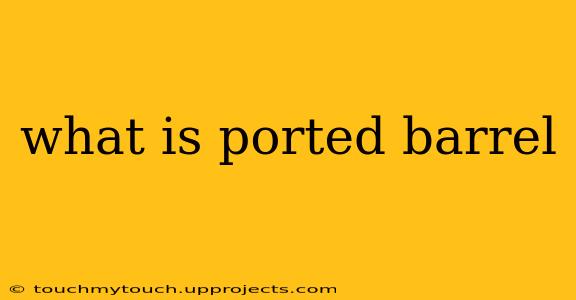 what is ported barrel