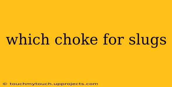 which choke for slugs
