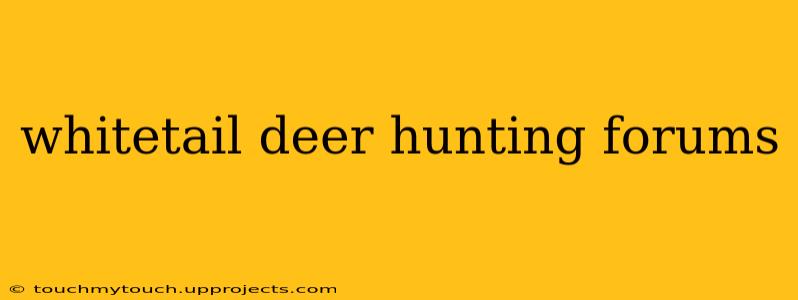 whitetail deer hunting forums