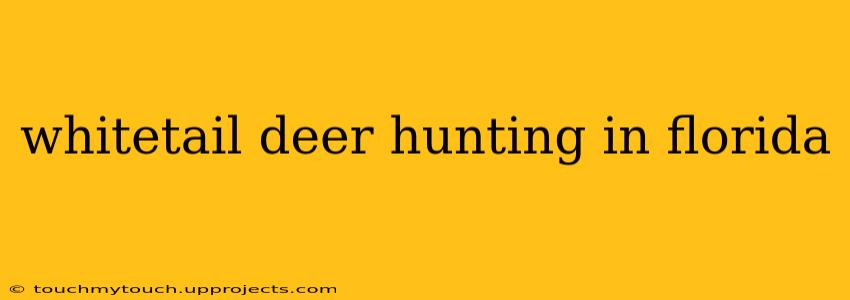whitetail deer hunting in florida