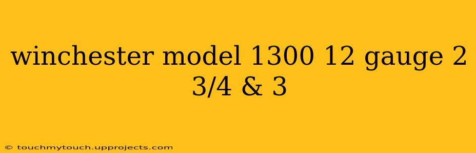 winchester model 1300 12 gauge 2 3/4 & 3